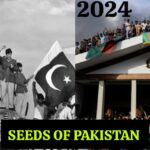 SEEDS OF PAKISTAN